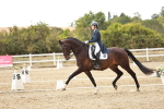 SBM_006878