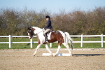 SBM_004387