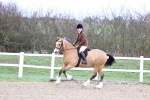 SBM_006955