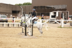 SBM_008188