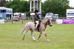 SBM_09415