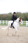 SBM_006608