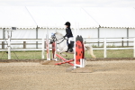 40cm showjumping portfolio