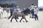 SBM_006420