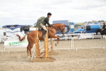 SBM_17842