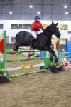 SBM_004539