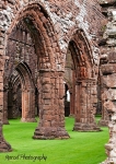Sweetheart Abbey