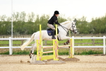 SBM_009485