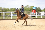SBM_007463