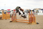 SBM_05200