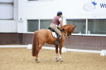 SBM_001411