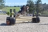BPP_6131
