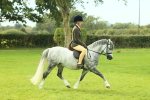SBM_69804