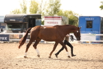 SBM_08183