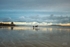 Sulky on Portmarnock beach Xmas Eve 2018