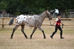 WJ6_8523