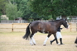 WJ6_7851