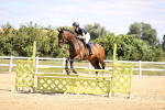 SBM_007969
