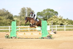 SBM_005335