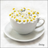 Daisy