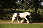 SBM_61178