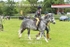 JAC_9371