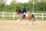 SBM_005986