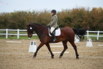 SBM_000395