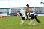 SBM_01049