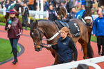 171124-Race 4-Paddock-Surrey Quest-3341