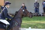617-MR.MISCHIEVOUS-Megan.Brown-TrotUp+SJ portfolio