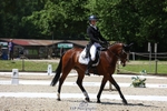 165-LEV_IDWJ-Danielle_Frost-WEDTrotUp+DR portfolio