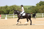 SBM_009046
