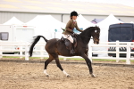 SBM_03703