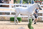 240717A-155026-03091