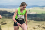 Helm Hill -466