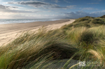 Morfa Harlech