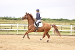 SBM_003190