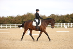 SBM_009554