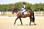 SBM_004851