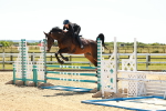 SBM_006739