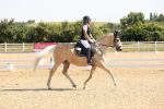 SBM_003017
