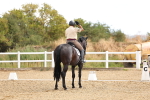 SBM_004162