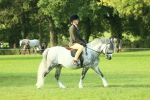 SBM_59321