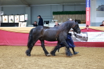 SBM_17066
