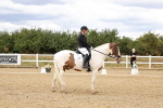 SBM_006569