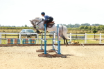 SBM_006428