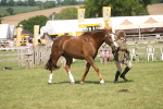 SBM_09243