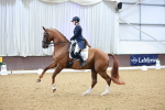 SBM_007784