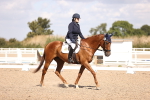 SBM_03657